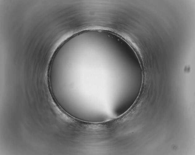 X0000090781189200708101825