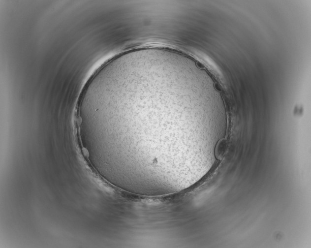 X0000090781190200708101825