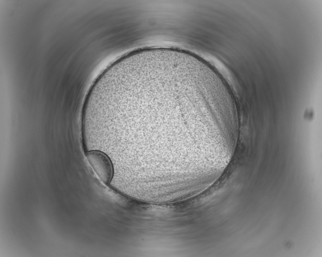 X0000090781191200708101825