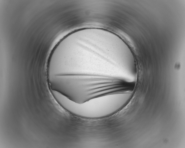 X0000090781192200708101825