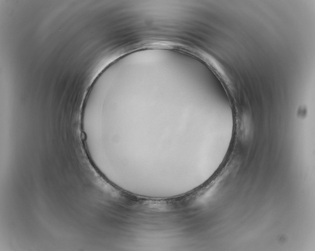 X0000090781194200708101825