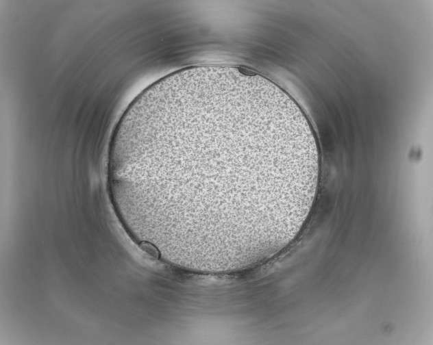 X0000090781195200708101825
