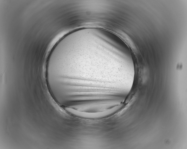 X0000090781196200708101825