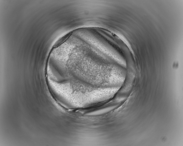 X0000090781197200708101825