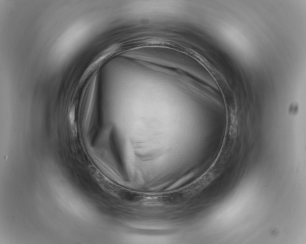X0000090781198200708101825