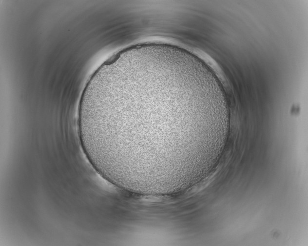 X0000090781199200708101825