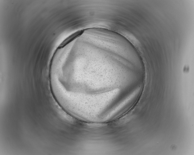 X0000090781200200708101825