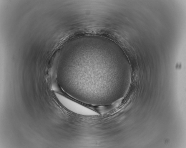 X0000090781202200708101825
