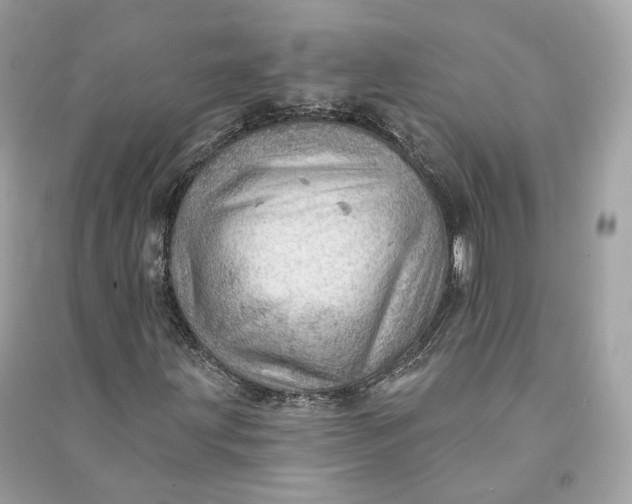 X0000090781203200708101825
