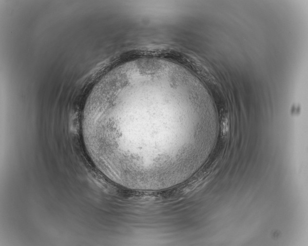 X0000090781204200708101825