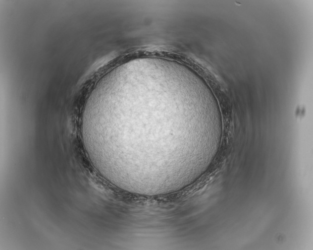 X0000090781207200708101825