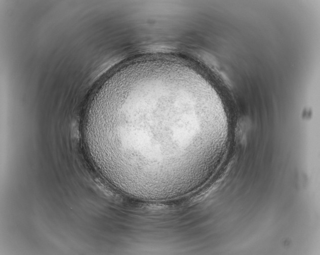 X0000090781209200708101825