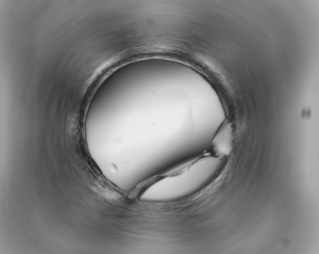 X0000090781210200708101825