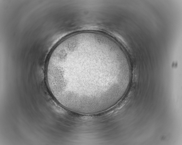 X0000090781212200708101825
