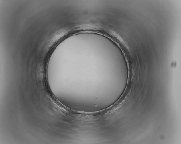 X0000090781213200708101825