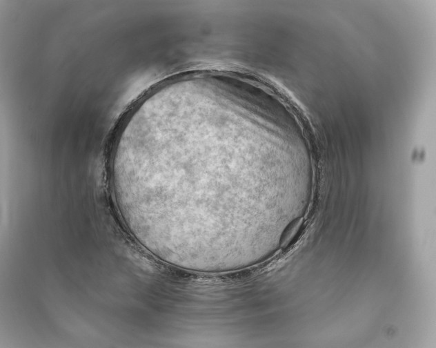 X0000090781215200708101825