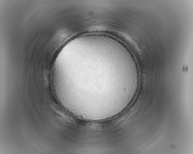 X0000090781217200708101825