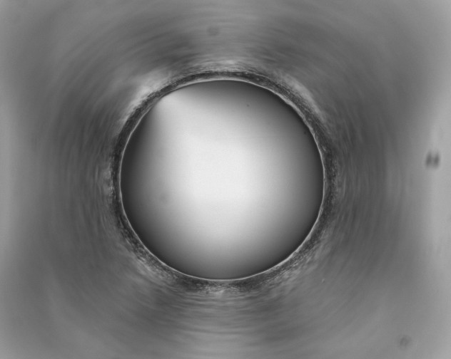 X0000090781218200708101825