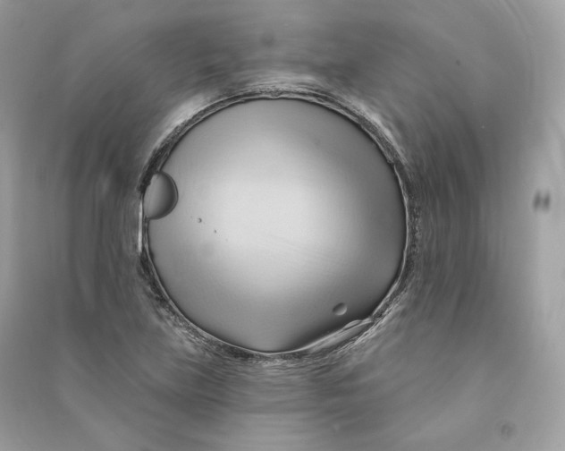X0000090781219200708101825