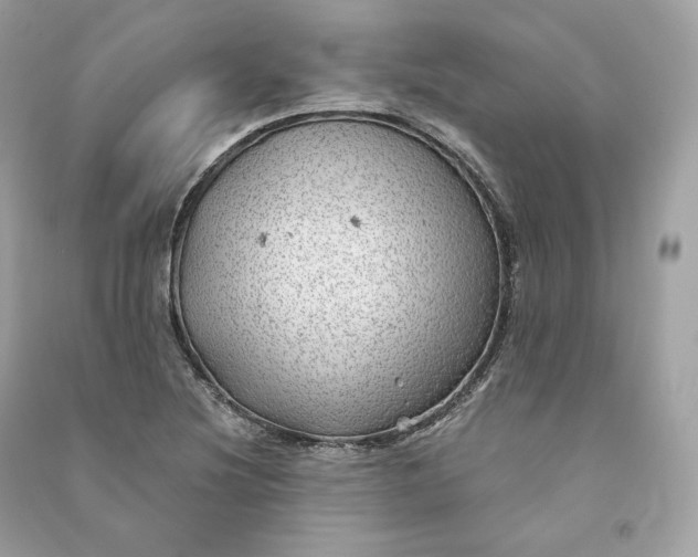 X0000090781220200708101825