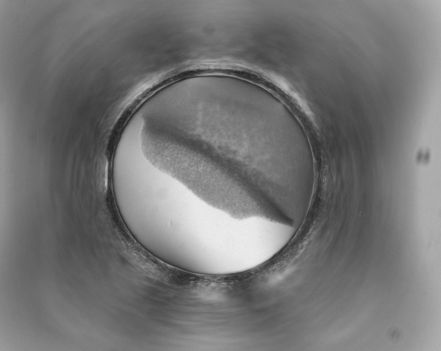 X0000090781221200708101825