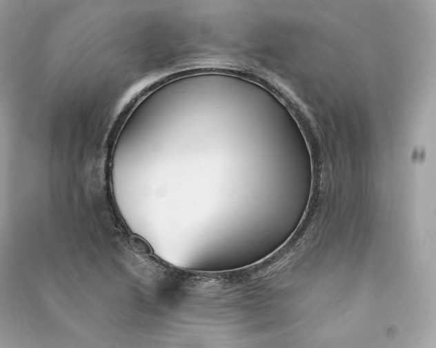 X0000090781222200708101825