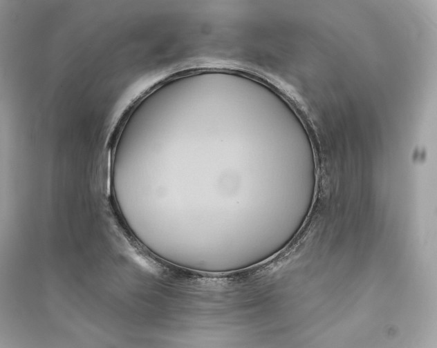 X0000090781223200708101825