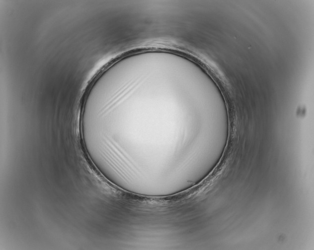 X0000090781224200708101825