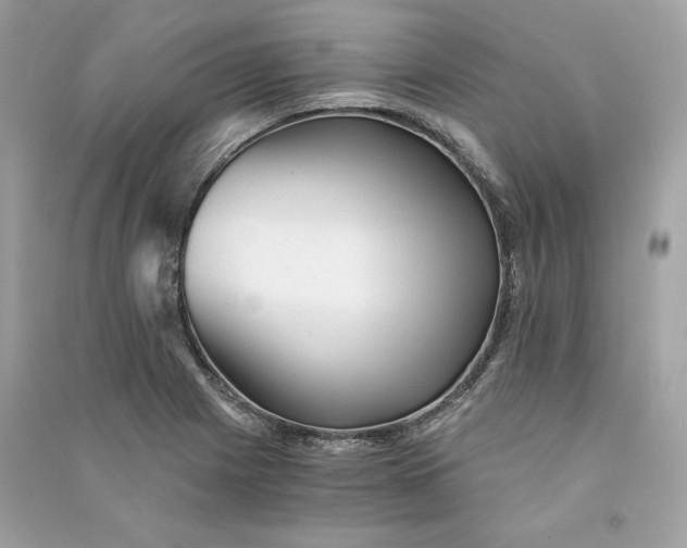 X0000090781225200708101825