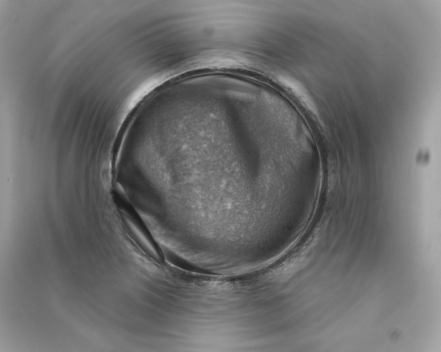 X0000090781226200708101825