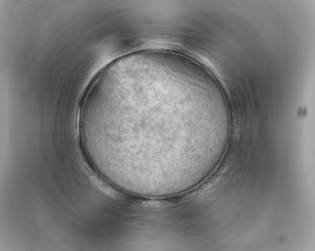 X0000090781227200708101825