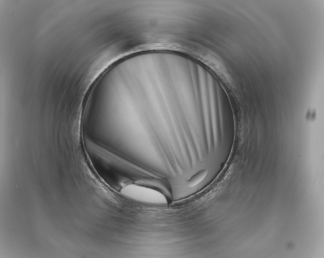 X0000090781228200708101825