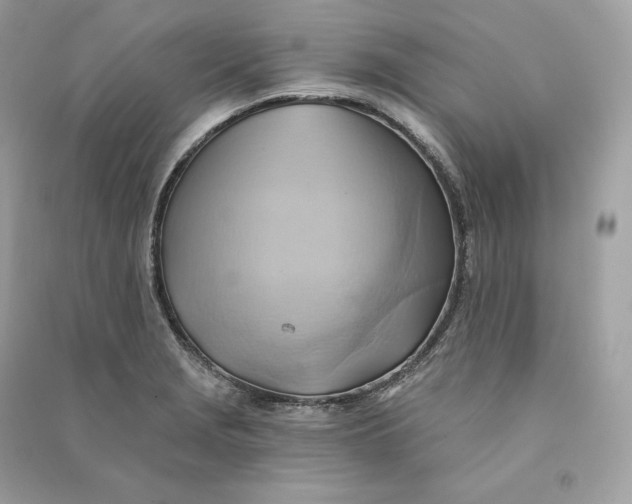 X0000090781229200708101825