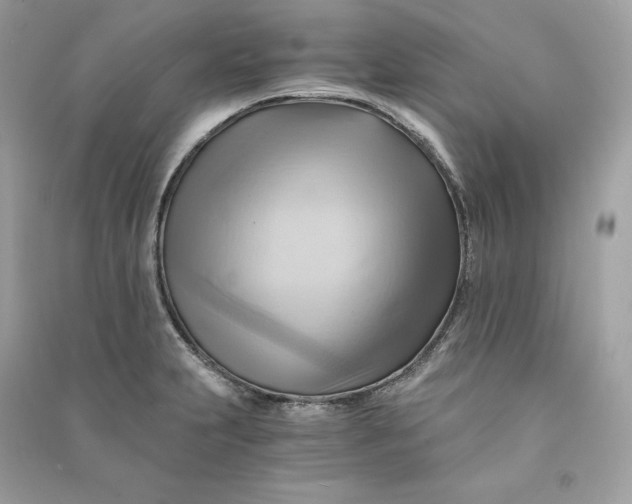 X0000090781231200708101825