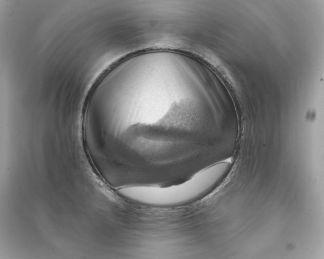 X0000090781232200708101825