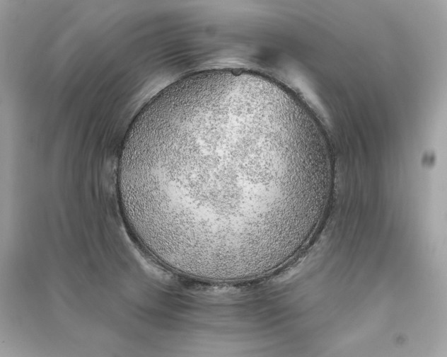 X0000090781233200708101825