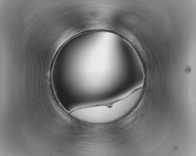X0000090781234200708101825
