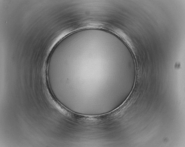 X0000090781235200708101825