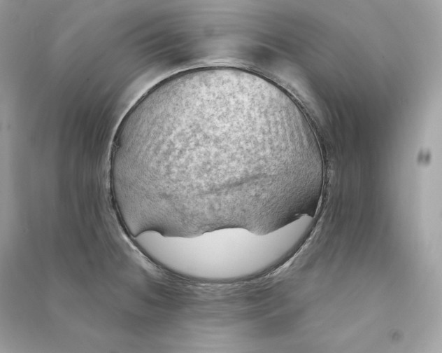 X0000090781236200708101825