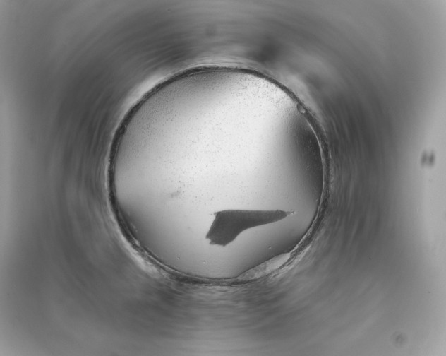 X0000090781237200708101825