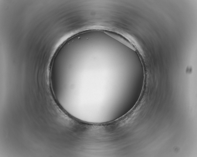 X0000090781238200708101825