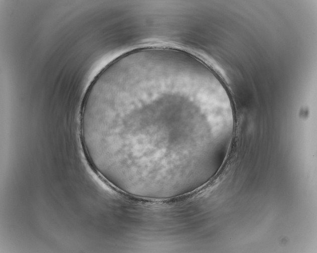 X0000090781239200708101825