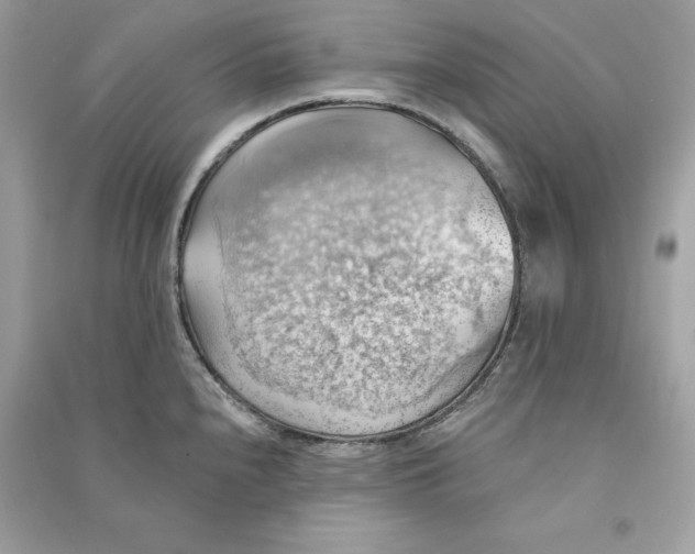 X0000090781240200708101825