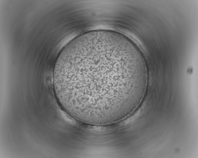 X0000090781241200708101825