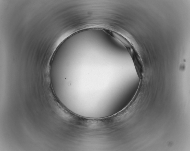X0000090781242200708101825