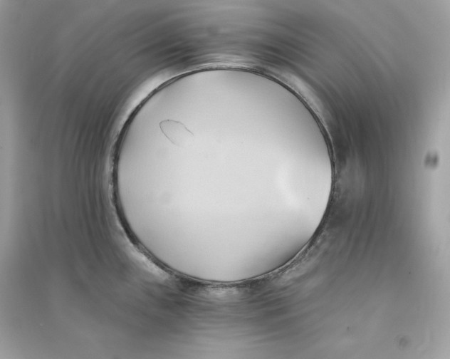 X0000090781243200708101825
