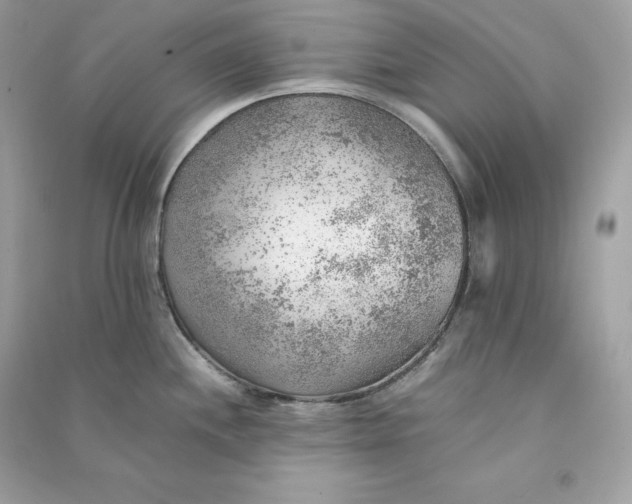 X0000090781244200708101825