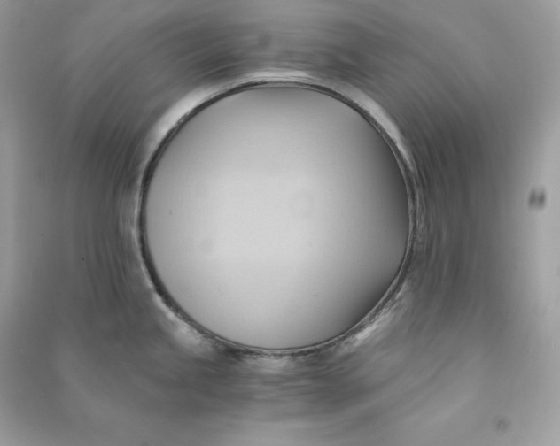 X0000090781245200708101825