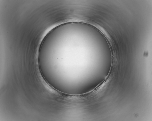 X0000090781246200708101825
