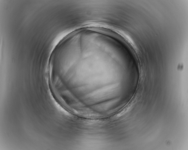X0000090781247200708101825